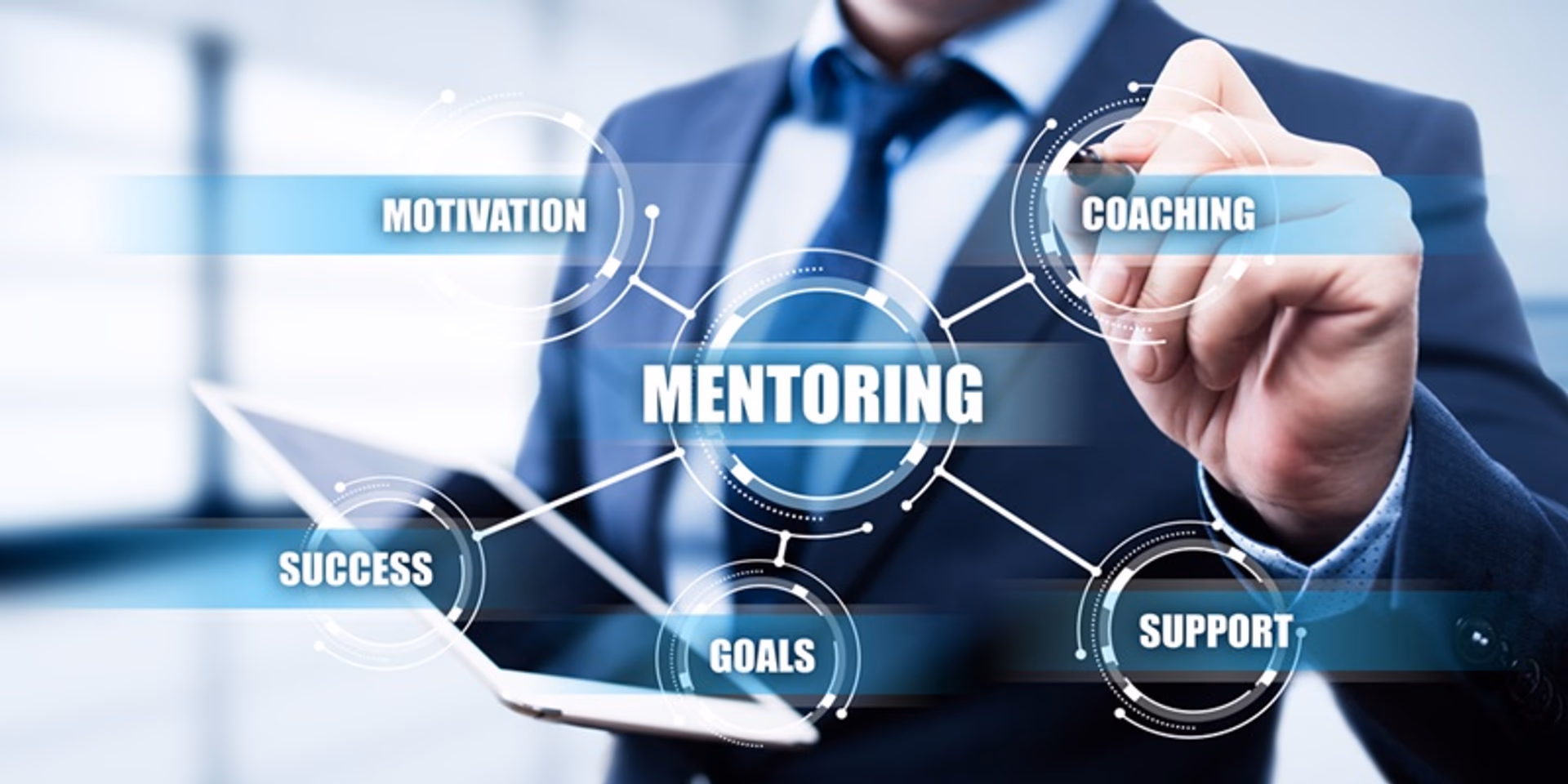 image summary of what mentors do